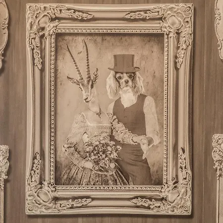 Apartmán Wiezienna *